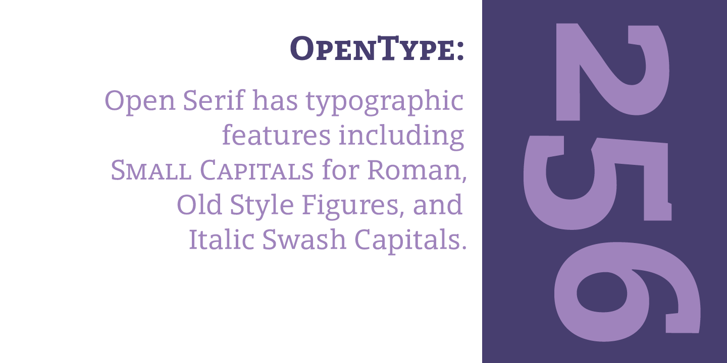 Przykładowa czcionka Open Serif #3